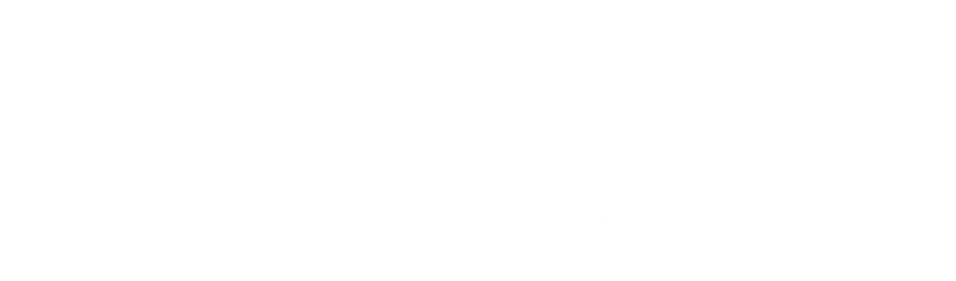 "Social Bug" Digital Media, LLC with ladybug logo.